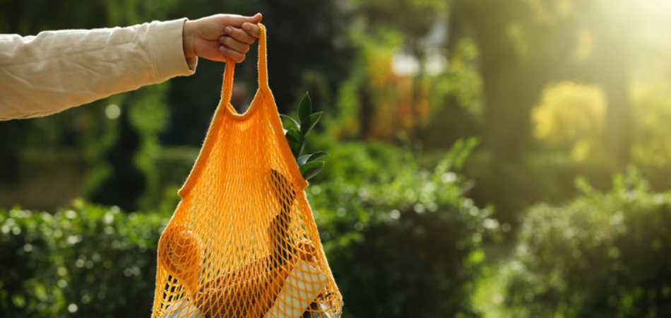 a hand holding a net bag full of stuff