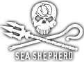 Donate a car to Sea Shepherd Conservation Society